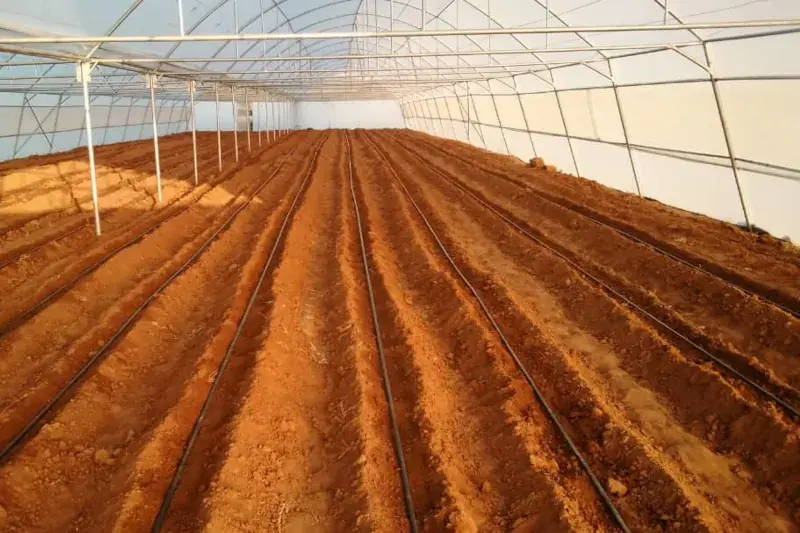آماده سازی بستر گلخانه برای کاشت بذر