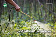 کنترل آفات گیاهی