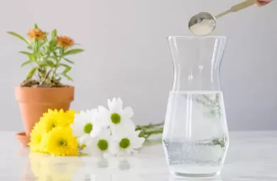 آب قند برای گیاهان