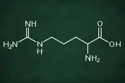 آمینو اسید