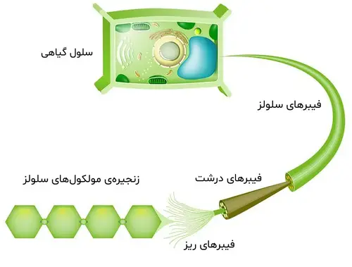 سلولز گیاهی