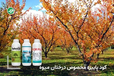 کود پاییزه درختان میوه