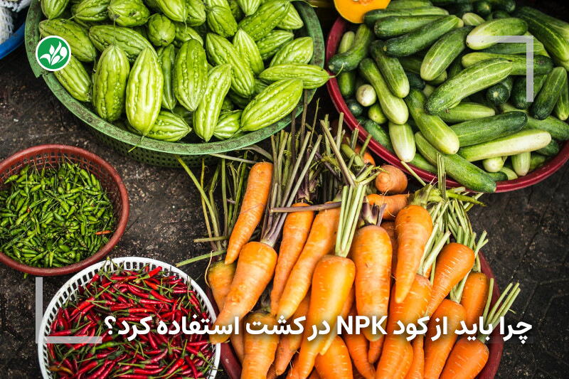 بایدهای استفاده از کود NPK