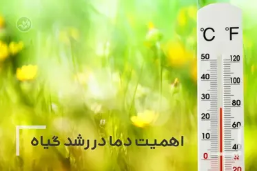 اهمیت دما در رشد گیاه