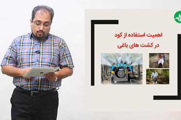 اهمیت استفاده از کود در کشت‌های باغی