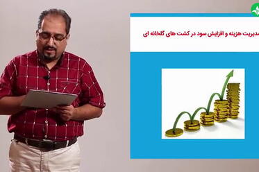 مدیریت هزینه و افزایش سود در کشت‌های گلخانه‌ای