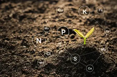 لیچینگ چگونه باعث افزایش بازده محصول می‌شود؟