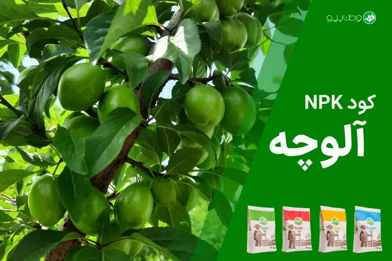 کود NPK آلوچه