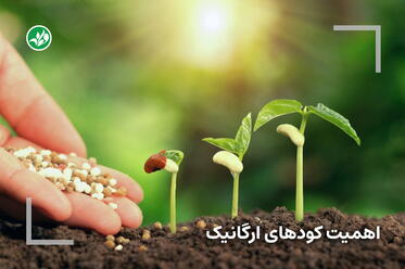 کود ارگانیک