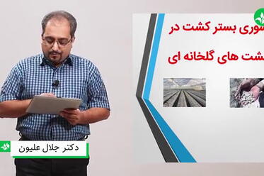 شوری بستر کشت در گلخانه