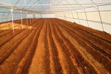 آماده سازی بستر گلخانه برای کاشت بذر