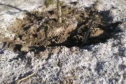 رابطه‌ی شوری خاک و ورمی کمپوست