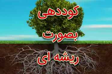 کوددهی به صورت ریشه‌ای