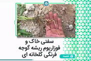 سفتی خاک و فوزاریوم ریشه گوجه فرنگی گلخانه‌ای