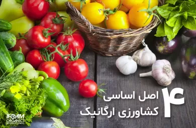 چهار اصل اساسی کشاورزی ارگانیک