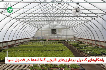 کنترل بیماری قارچی گلخانه در زمستان
