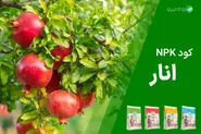 کود NPK انار