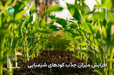 راهکار افزایش میزان جذب کودهای شیمیایی