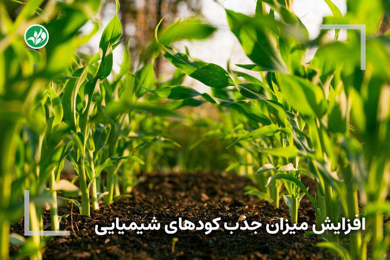 راهکار افزایش میزان جذب کودهای شیمیایی