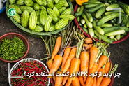 بایدهای استفاده از کود NPK