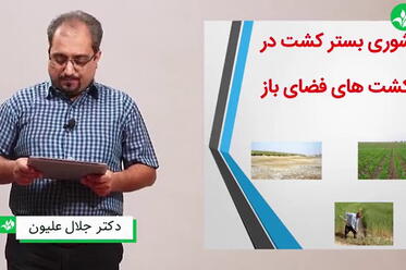 شوری بستر کشت در فضای باز