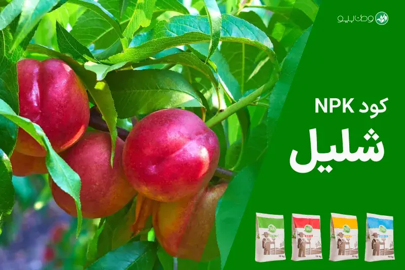 کود NPK شلیل