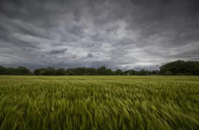 نقش پیش‌بینی آب‌وهوا در کشاورزی