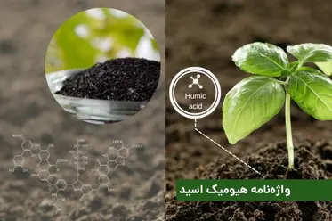 واژه‌نامه‌ی اسید هیومیک