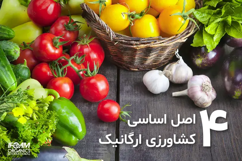 چهار اصل اساسی کشاورزی ارگانیک