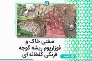 سفتی خاک و فوزاریوم ریشه گوجه فرنگی گلخانه‌ای