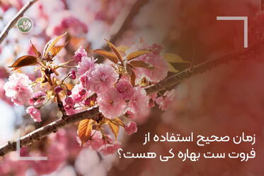 زمان صحیح استفاده از فروت‌ست بهاره