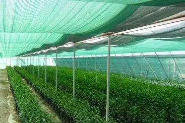 پارچه سایه‌بان گلخانه