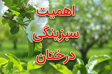 اهمیت سبزینگی درختان