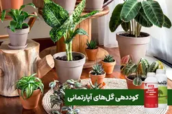 کود‌ گل آپارتمانی