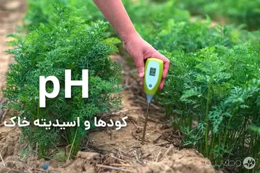 نقش کودها در اسیدی شدن خاک