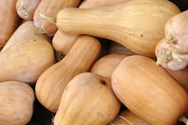 کدو حلوایی