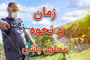 زمان و نحوه محلول پاشی