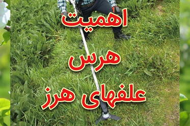 اهمیت هرس علف‌های هرز