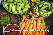 بایدهای استفاده از کود NPK