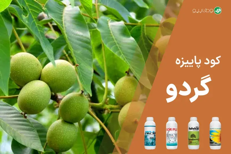 کود پاییزه گردو