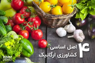 چهار اصل اساسی کشاورزی ارگانیک