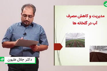 مدیریت و کاهش مصرف آب در گلخانه