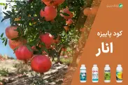 کود پاییزه انار