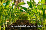 راهکار افزایش میزان جذب کودهای شیمیایی