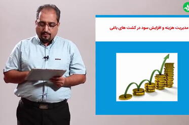 مدیریت هزینه و افزایش سود در کشت‌های باغی