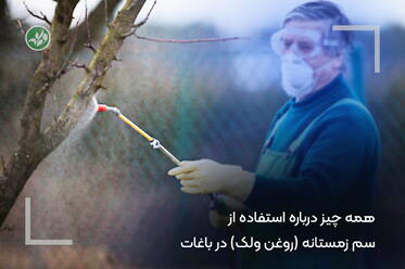 اسپری روغن ولک در زمستان