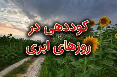 کوددهی گلخانه در روزهای ابری