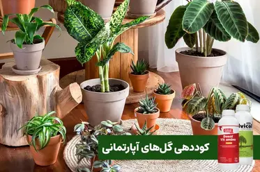 کود‌ گل آپارتمانی