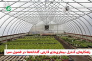 کنترل بیماری قارچی گلخانه در زمستان
