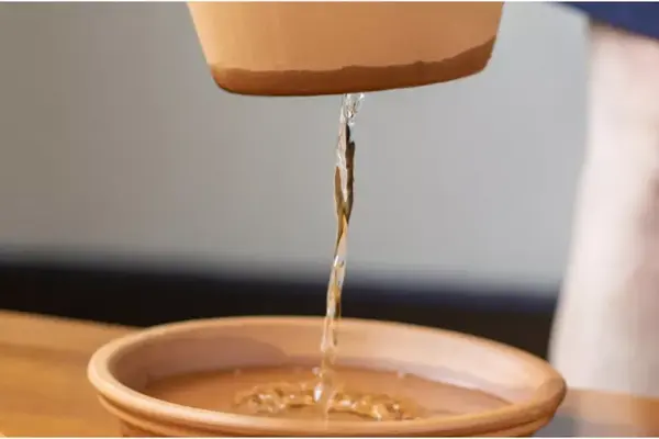 خارج کردن آب اضافی گلدان
